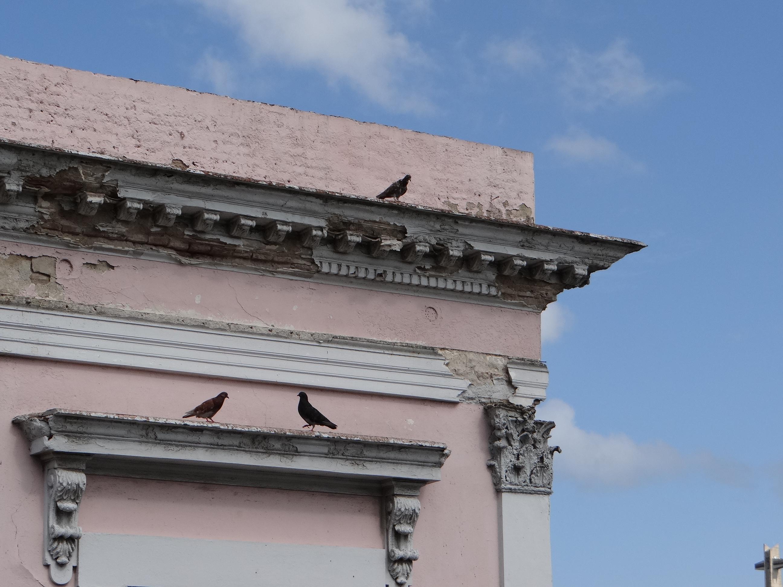 Edificio 1 - Detalle Ornamental - Ponce - 2013 00002